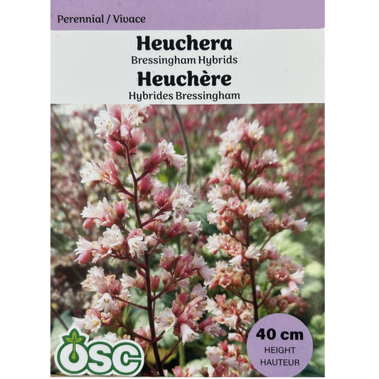 OSC Seeds Heuchera Bressingham Hybrids Pkg.