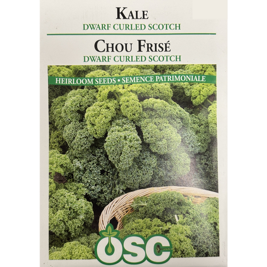 OSC Seeds Kale Dwarf Curled Scotch Pkg.