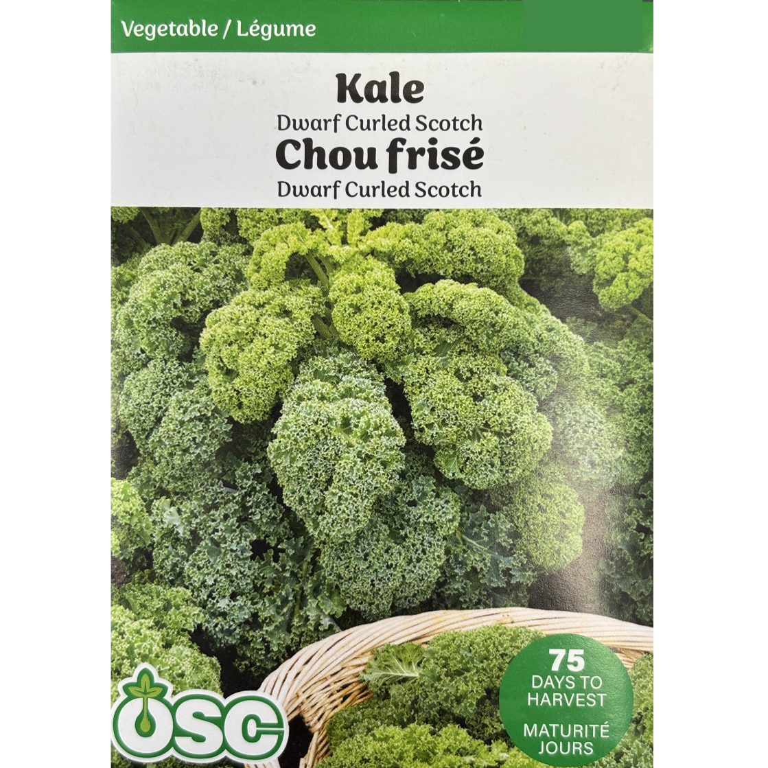 OSC Seeds Kale Curled Scotch Pkg.