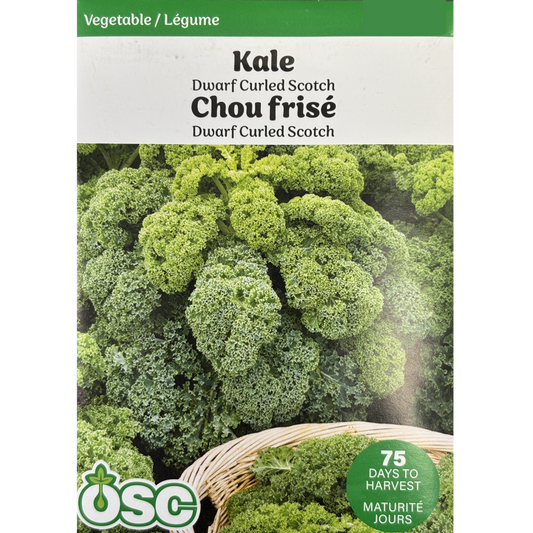 OSC Seeds Kale Curled Scotch Pkg.
