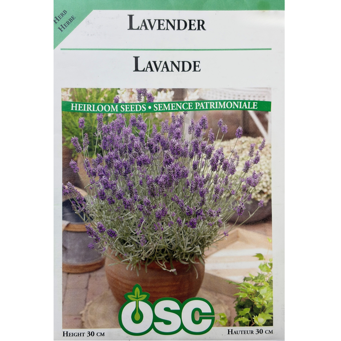 OSC Herb Seeds Lavender Pkg.