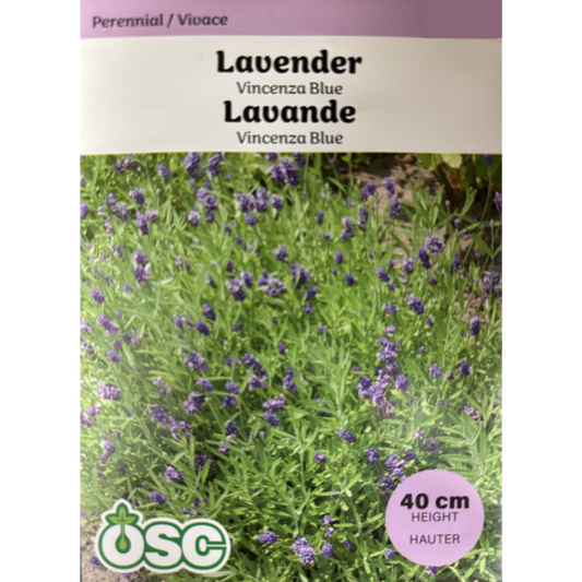 OSC Herb Seeds Lavender Vincenza Blue Pkg.