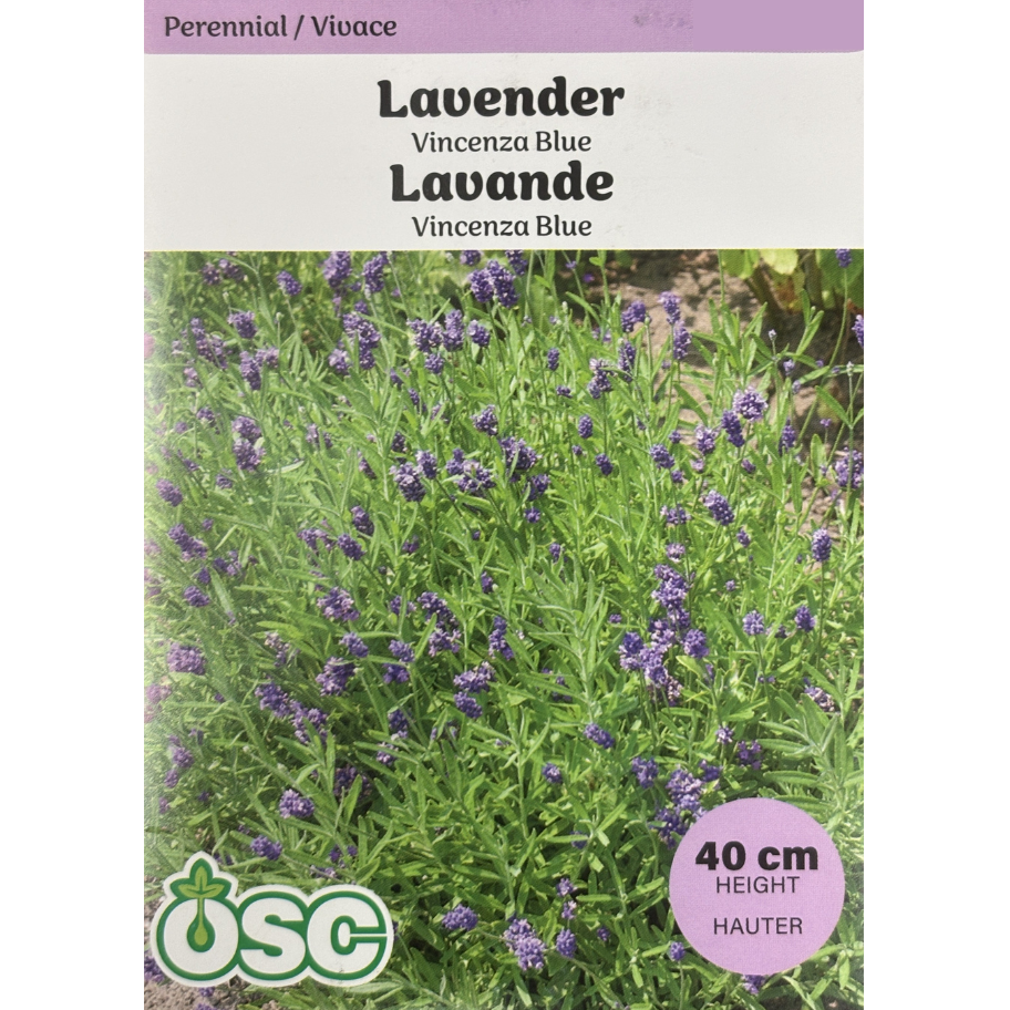 OSC Herb Seeds Lavender Vincenza Blue Pkg.