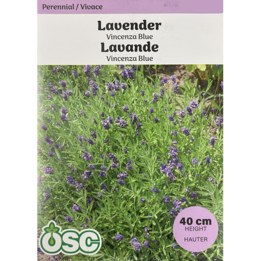 OSC Herb Seeds Lavender Vincenza Blue Pkg.