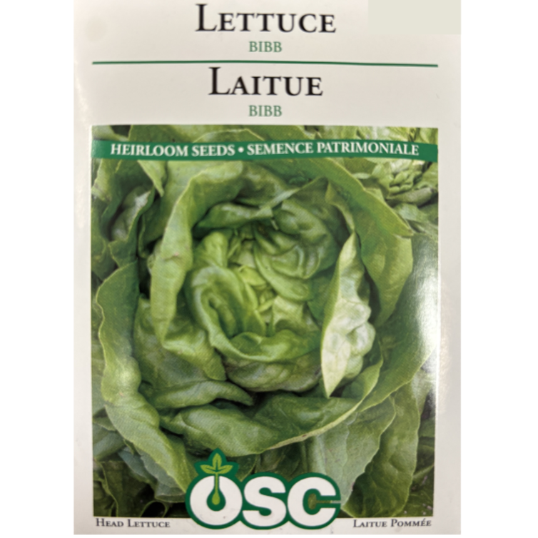 OSC Seeds Lettuce Bibb Pkg.