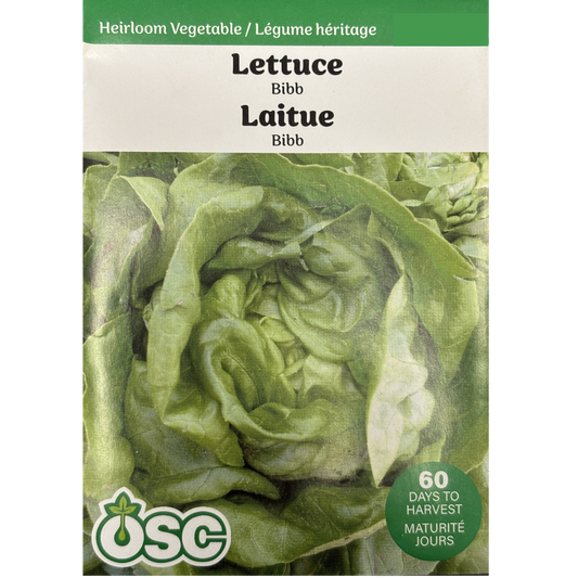 OSC Seeds Lettuce Bibb Pkg.