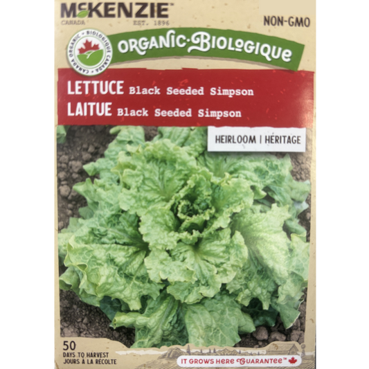 McKenzie Organic Seed Lettuce Black Seeded Simpson Pkg.