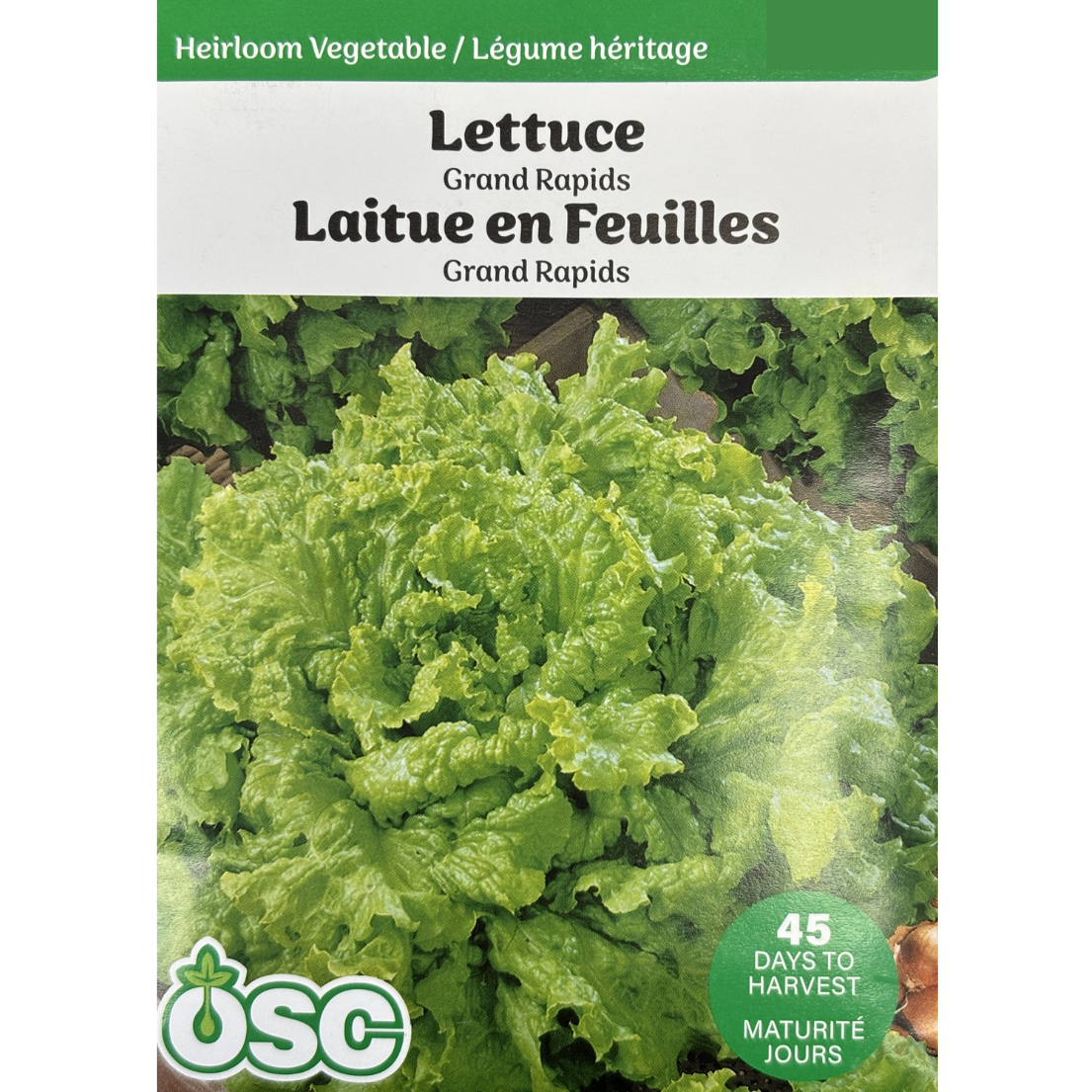 OSC Seeds Lettuce Grand Rapids Pkg.