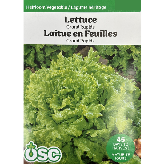 OSC Seeds Lettuce Grand Rapids Pkg.