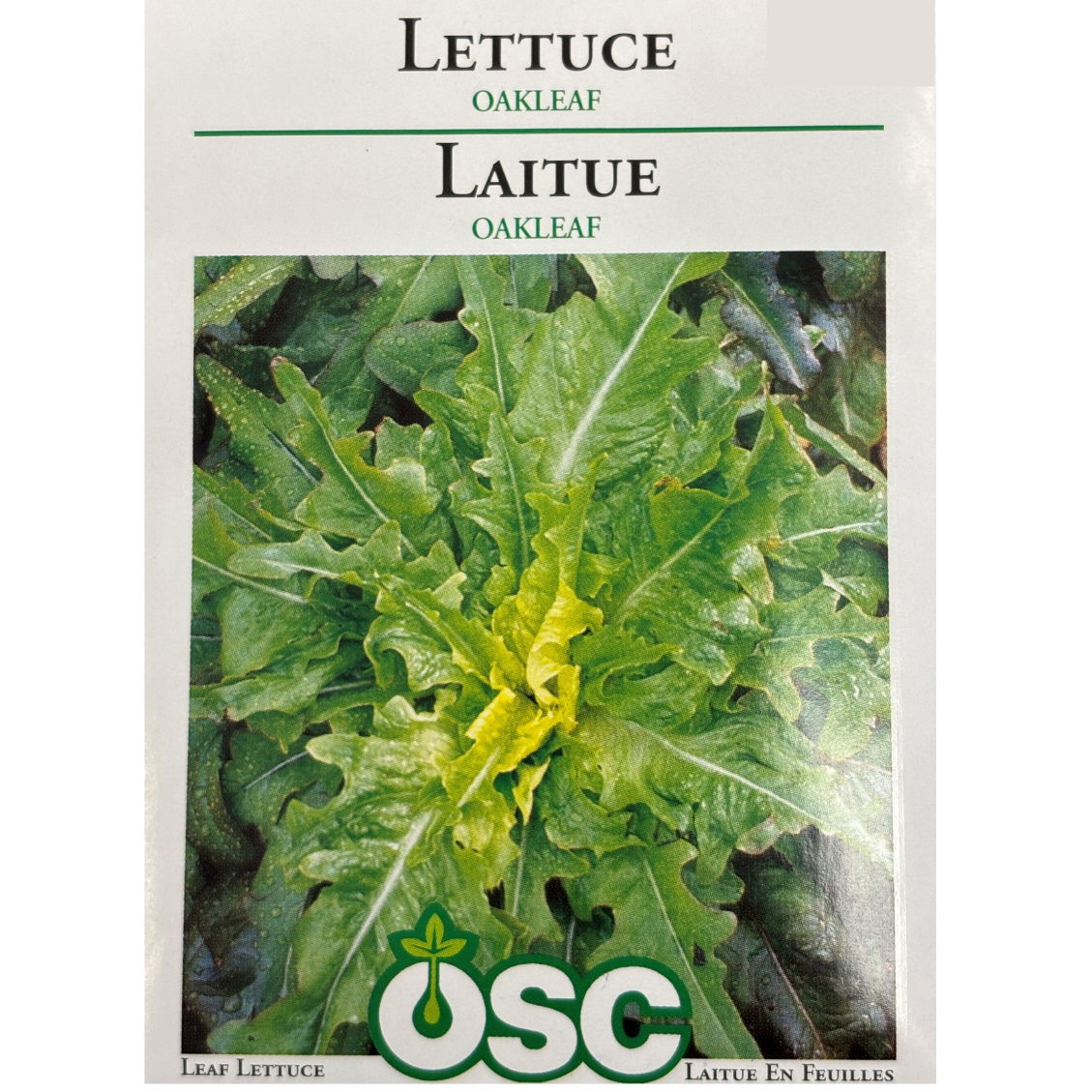 OSC Seeds Lettuce Oakleaf Pkg.