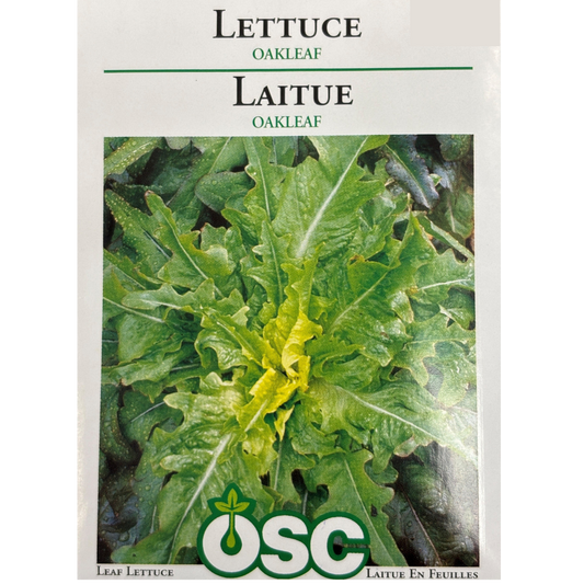 OSC Seeds Lettuce Oakleaf Pkg.