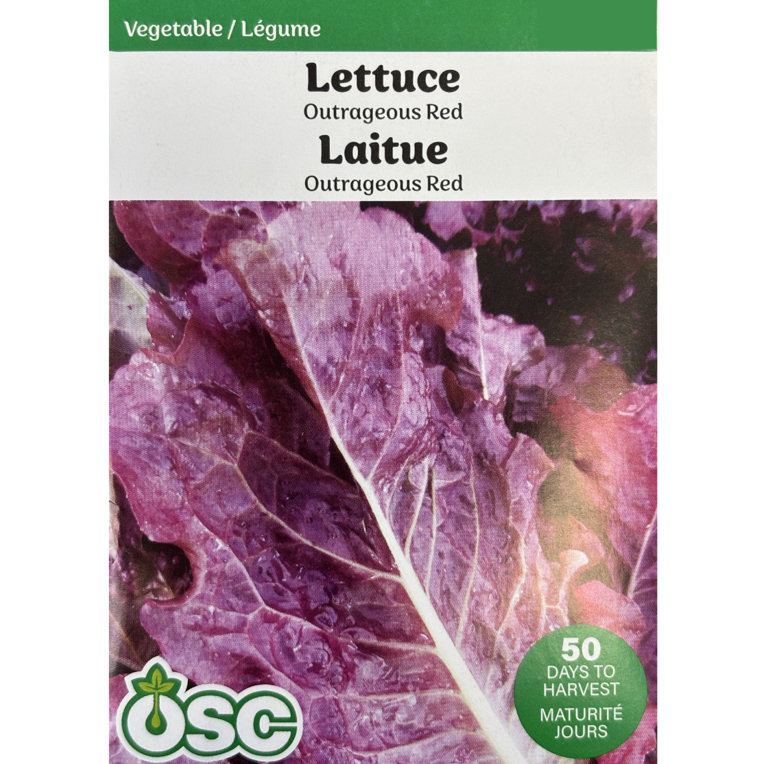 OSC Seeds Lettuce Outrageous Red Pkg.