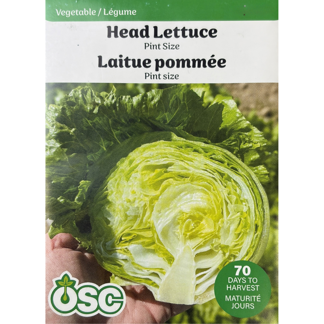 OSC Lettuce 'Pint Size'