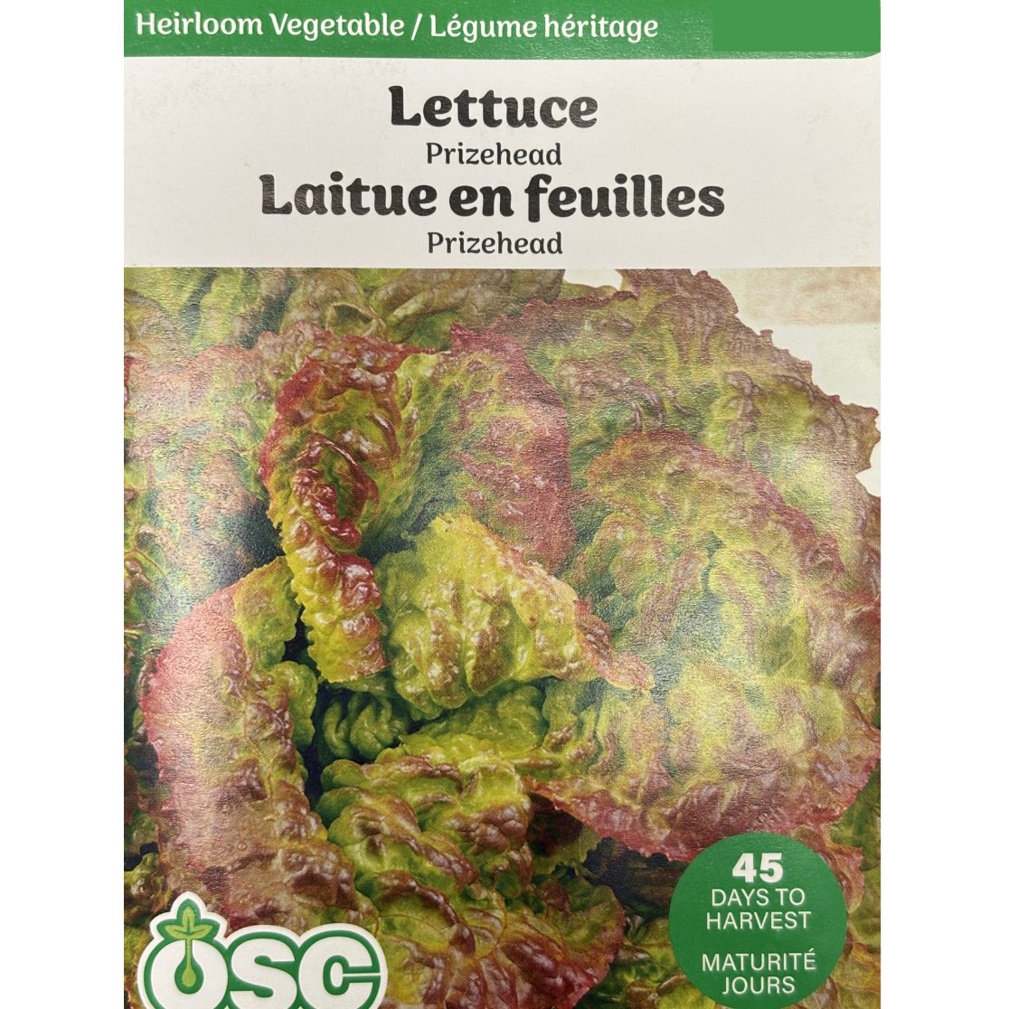 OSC Seeds Lettuce Prizehead Pkg.