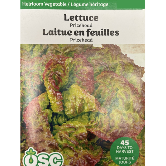 OSC Seeds Lettuce Prizehead Pkg.