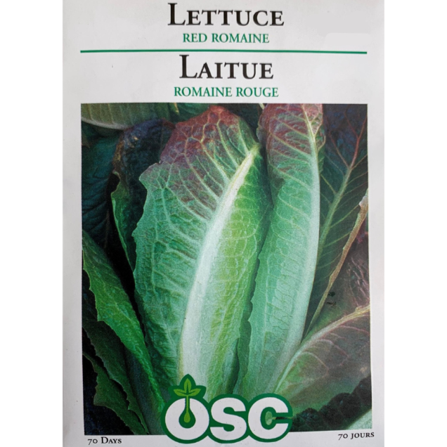 OSC Seeds Lettuce Red Romaine
