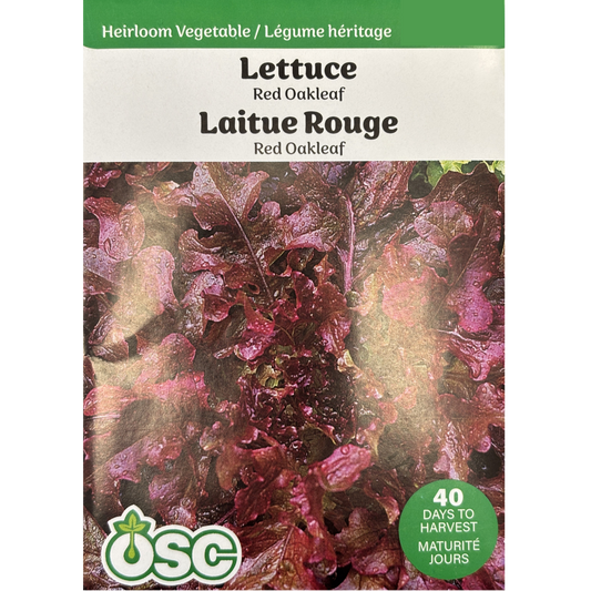 OSC Seeds Lettuce Red Oakleaf Pkg.