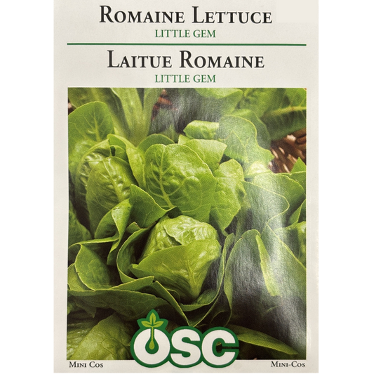 OSC Seeds Lettuce  Little Gem Romaine Pkg.
