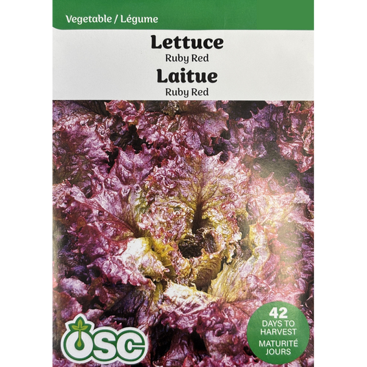 OSC Seeds Lettuce Ruby Red Pkg.