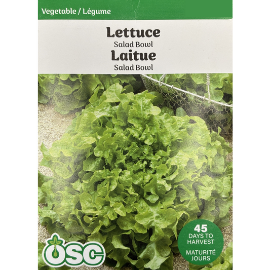 OSC Seeds Lettuce Salad Bowl Pkg.