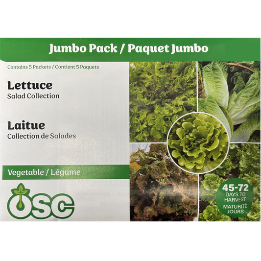 OSC Seeds Lettuce Salad Collection Jumbo
