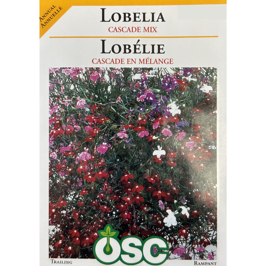OSC Seeds Lobelia Cascade Mix Pkg.