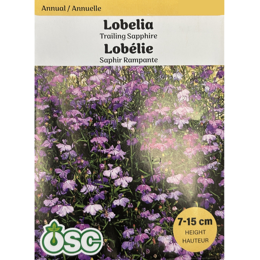 OSC Seeds Lobelia Trailing Sapphire Pkg.