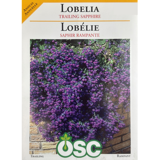 OSC Seeds Lobelia Trailing Sapphire Pkg.