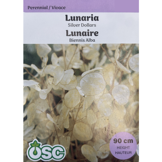 OSC Seeds Lunaria Silver Dollars Pkg.