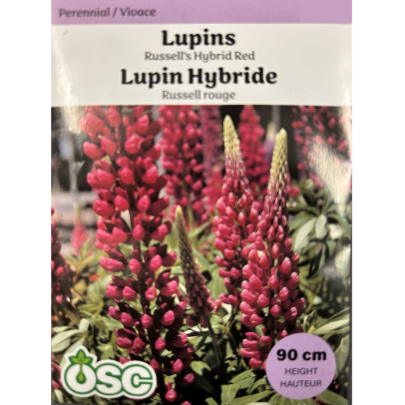 OSC Seeds Lupins Russell's Hybrid Red Pkg.
