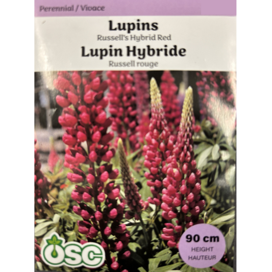 OSC Seeds Lupins Russell's Hybrid Red Pkg.