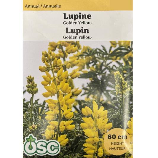 OSC Seeds Lupine Gold Yellow Pkg.