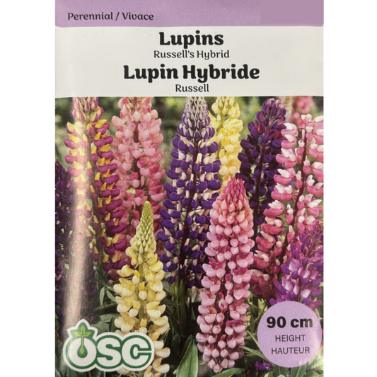 OSC Seeds Lupins Russell's Hybrids Mix Pkg.