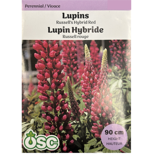 OSC Seeds Lupins Russell's Hybrid Red Pkg.