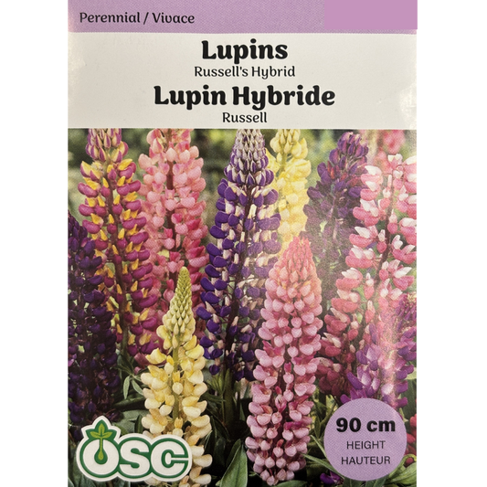 OSC Seeds Lupins Russell's Hybrids Mix Pkg.