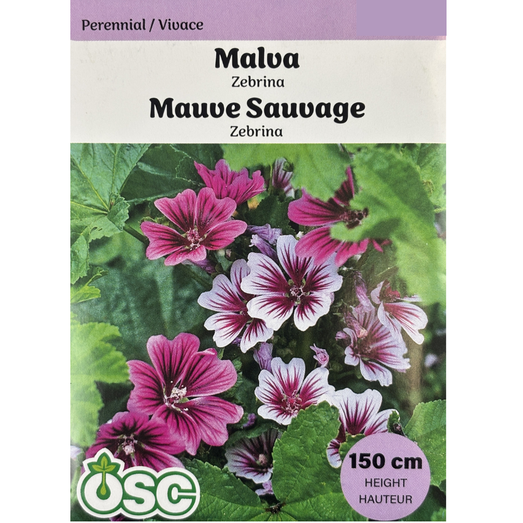 OSC Seeds Malva Sylvestris Zebrina Pkg.