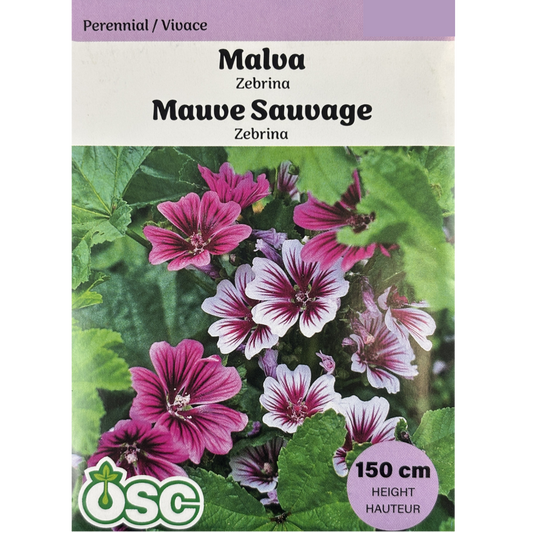 OSC Seeds Malva Sylvestris Zebrina Pkg.