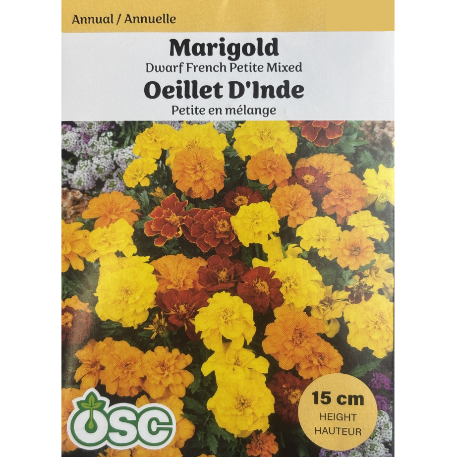 OSC Seeds Marigold French Petite Mixed Dwarf Pkg.