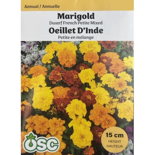 OSC Seeds Marigold French Petite Mixed Dwarf Pkg.