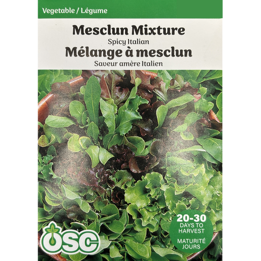 OSC Seeds Mesclun Mixture Spicy Italian Pkg.