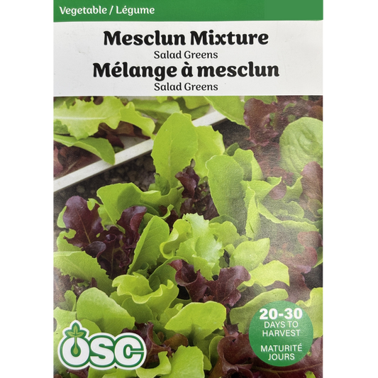 OSC Seeds Mesclun Mixture Salad Greens Pkg.