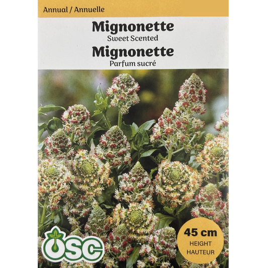 OSC Seeds Mignonette Sweet Scented Pkg.