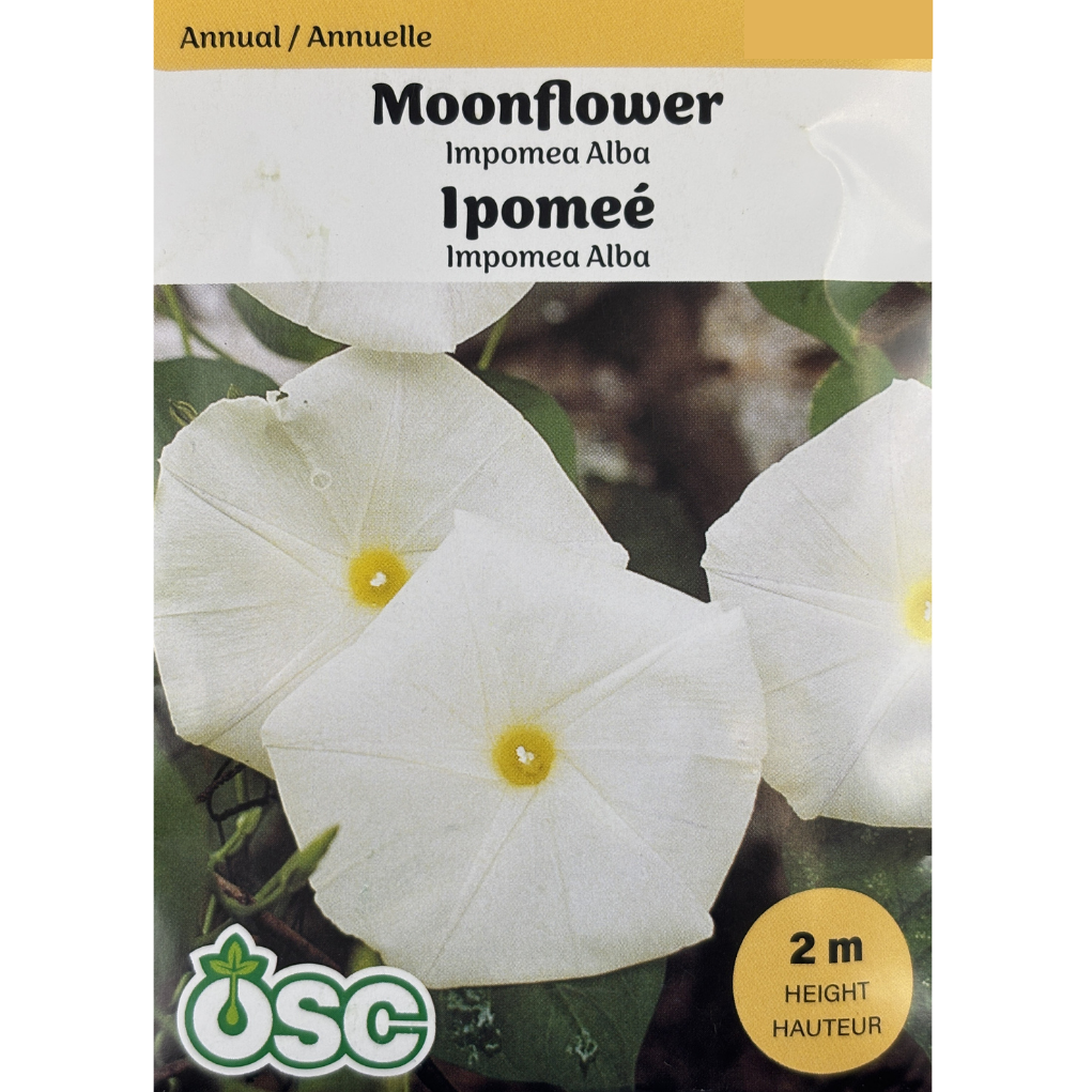 OSC Seeds Moonflower Ipomea Alba Pkg.