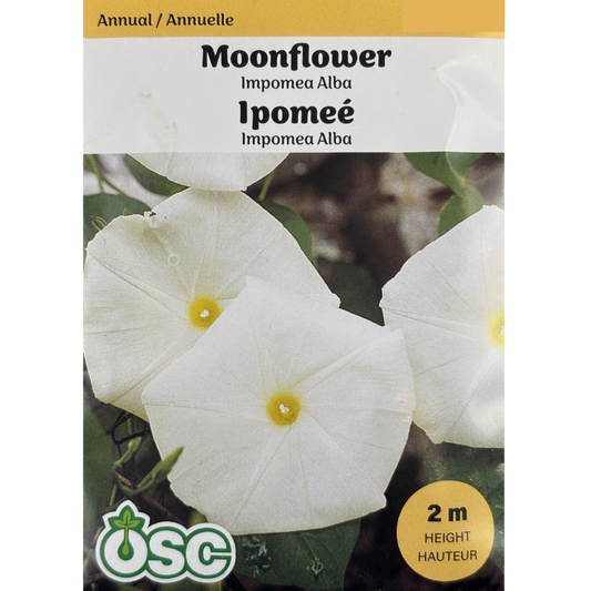 OSC Seeds Moonflower Ipomea Alba Pkg.