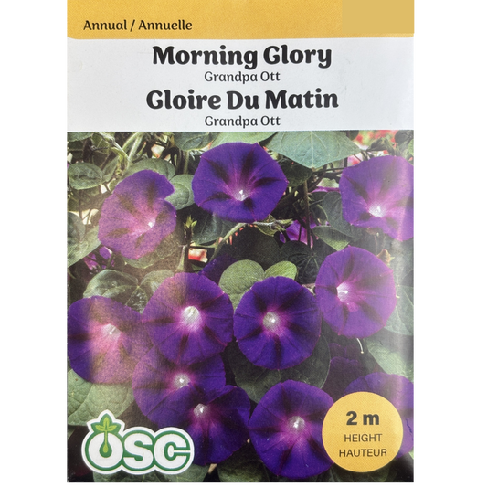 OSC Seeds Morning Glory Grandpa Ott Pkg.