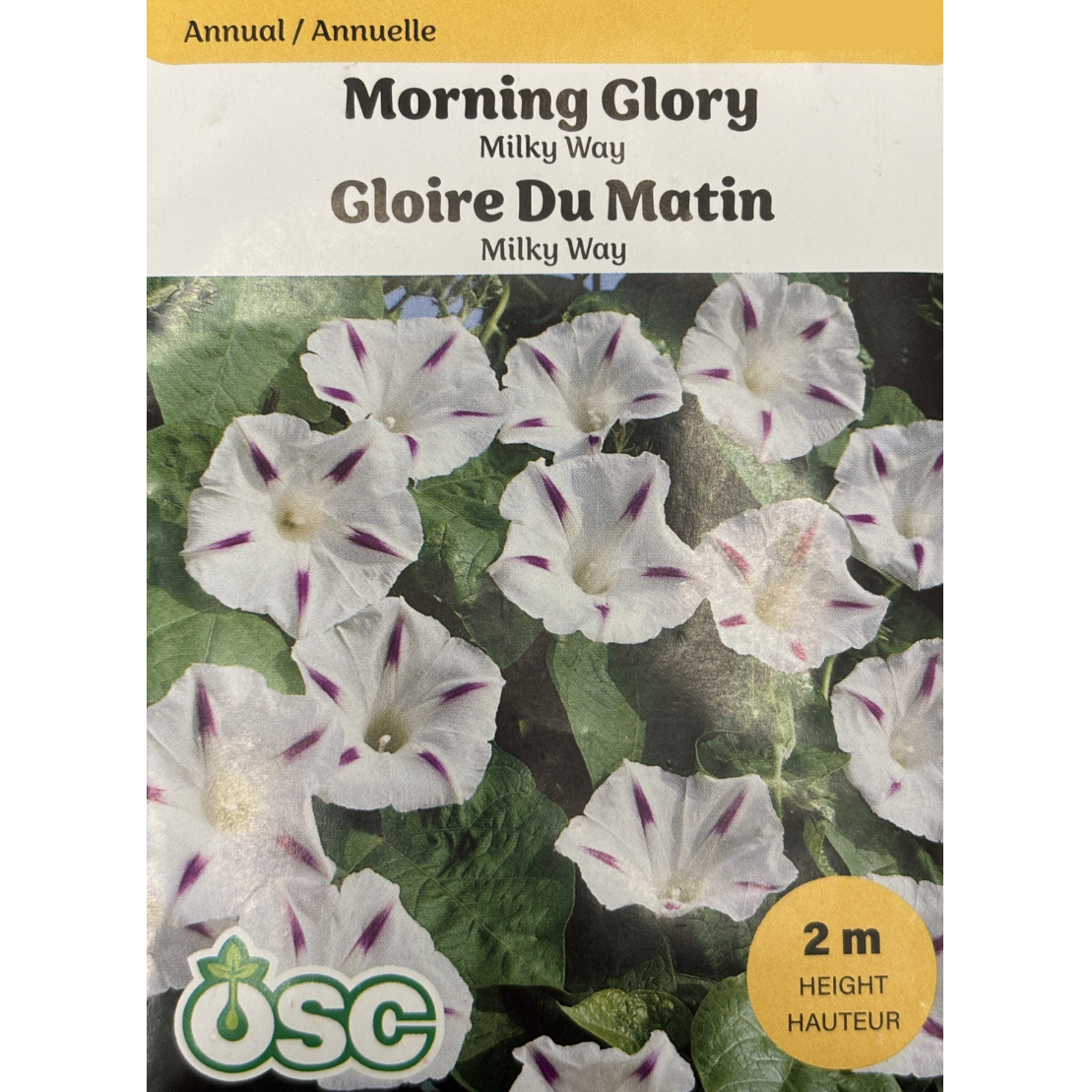 OSC Seeds Morning Glory Milky Way Pkg.