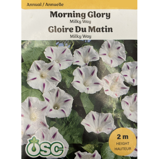 OSC Seeds Morning Glory Milky Way Pkg.