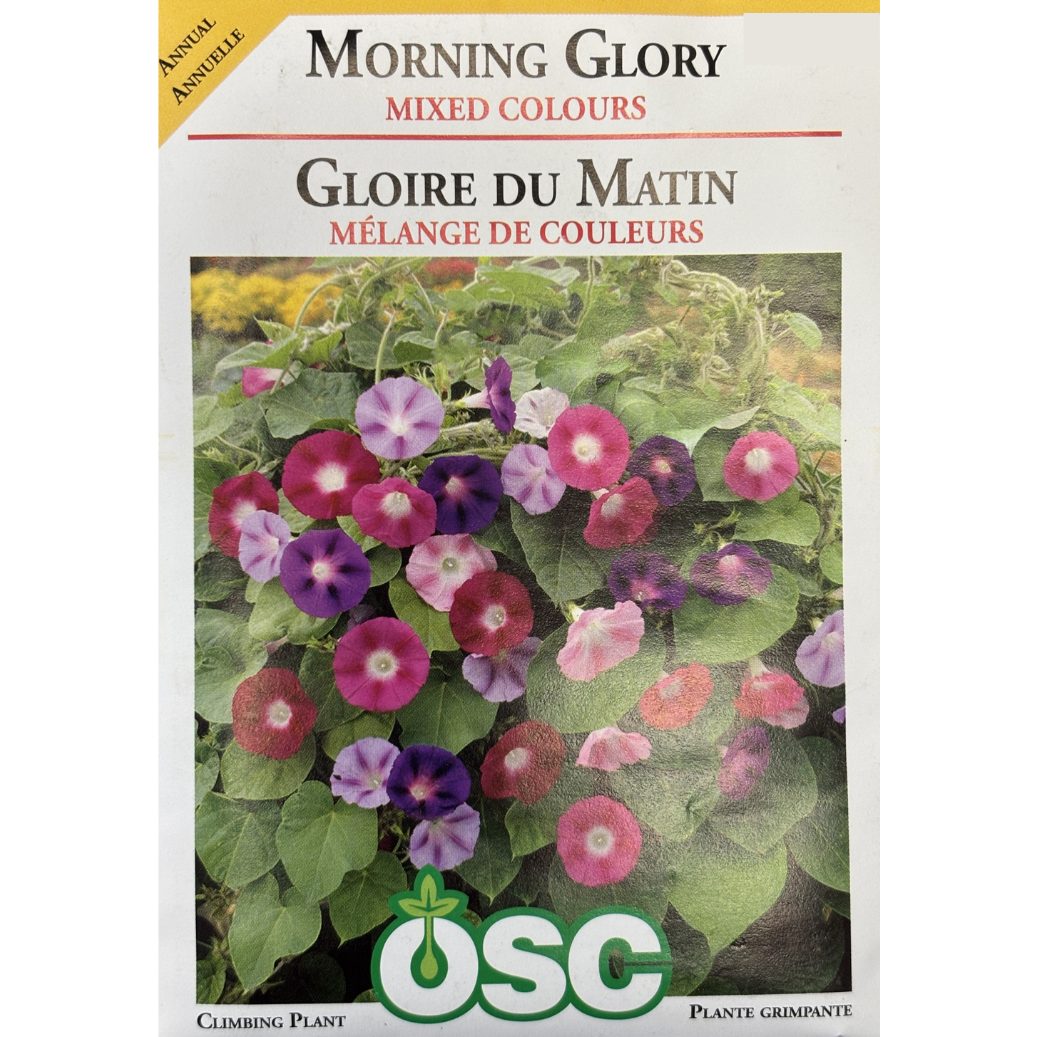 OSC Seeds Morning Glory Mixed Colours