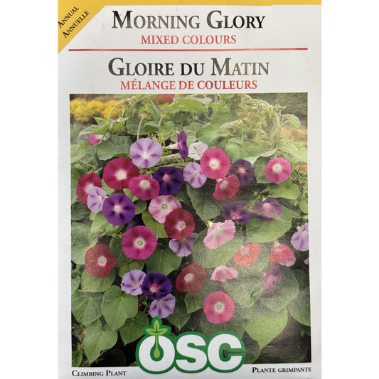 OSC Seeds Morning Glory Mixed Colours