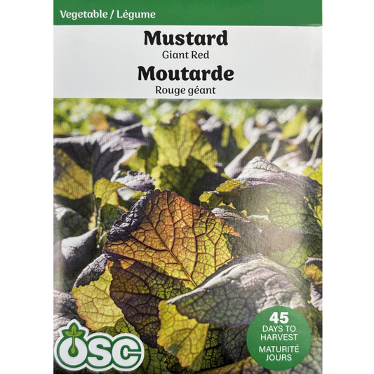 OSC Seeds Mustard Giant Red Pkg.